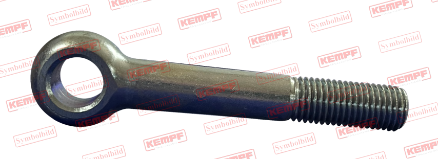 111793 Augenschraube M16x159